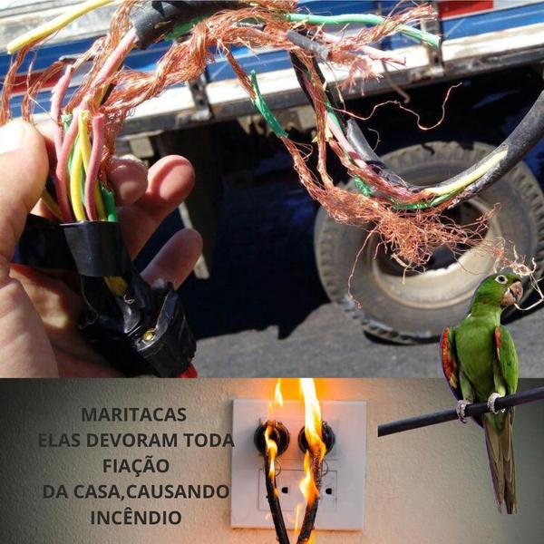 Imagem de Elimina Repele Pardal Maritaca Morcego Pombo Xo Passaro Casa