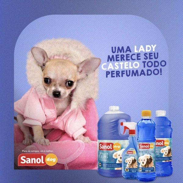 Imagem de Eliminador de Odor Sanol Dog Tradicional 500ml