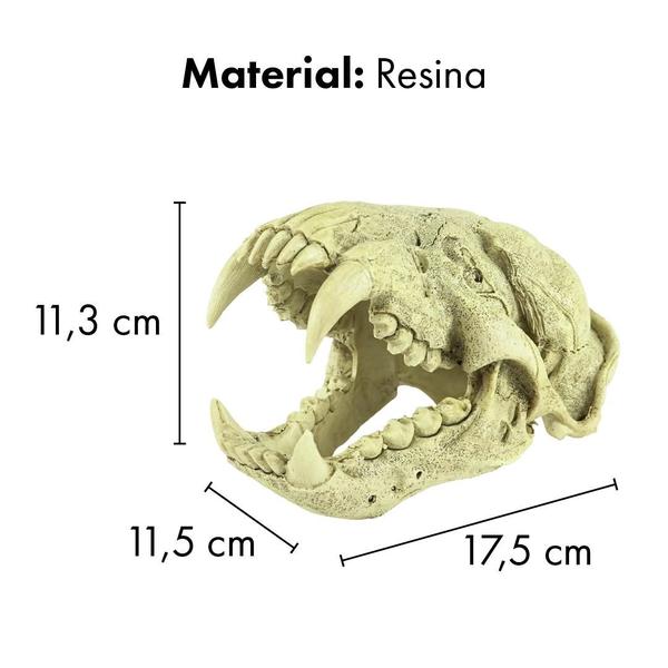 Imagem de Enfeite de resina soma esqueleto cabeca de puma