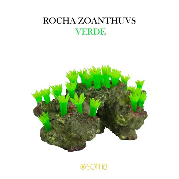 Imagem de Enfeite de resina soma rocha deco zoanthus verde