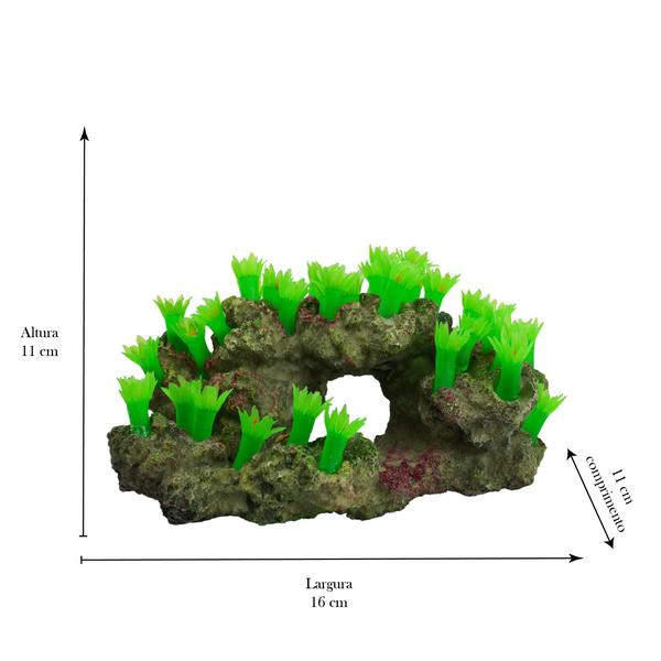 Imagem de Enfeite de resina soma rocha deco zoanthus verde