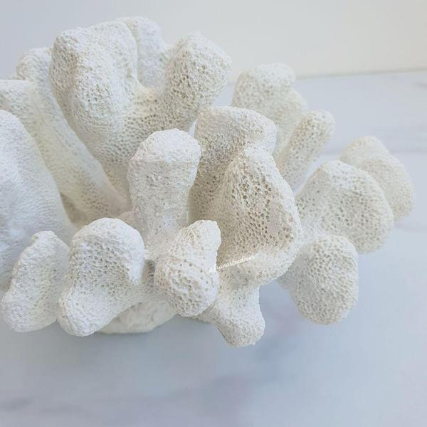 Imagem de Enfeite Escultura de Poliresina Coral Branco 18 x12 x 12 cm - MART