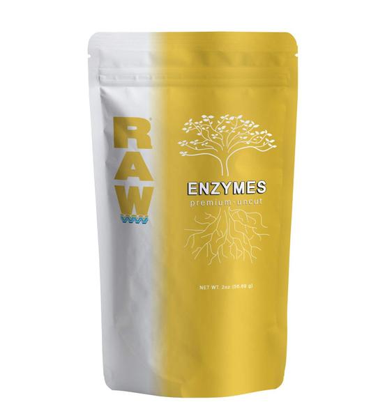 Imagem de Enzimas RAW (2 oz)