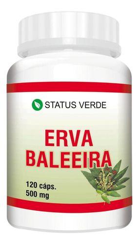 Erva Baleeira Pura Natural 120 Cápsulas 500mg - Suplemento Natural