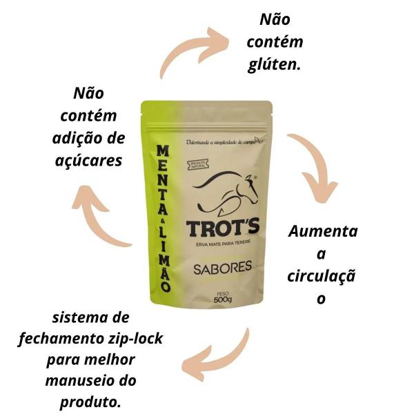 Imagem de Erva Mate Tereré TROT'S MENTA LIMÃO SABORES 500g