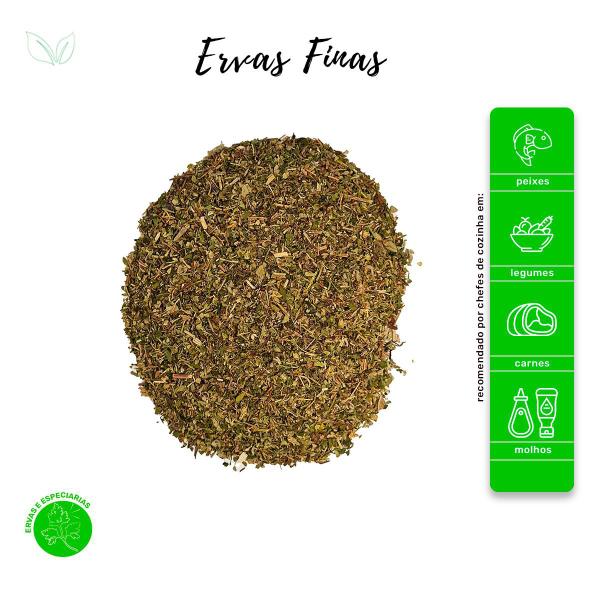 Ervas Finas - Ervas e Especiarias - Rocha Saúde Imagem de Ervas Finas - Ervas e Especiarias