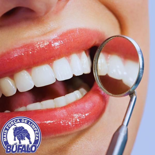 Imagem de Escova Dental Professionale Macia Bufalo