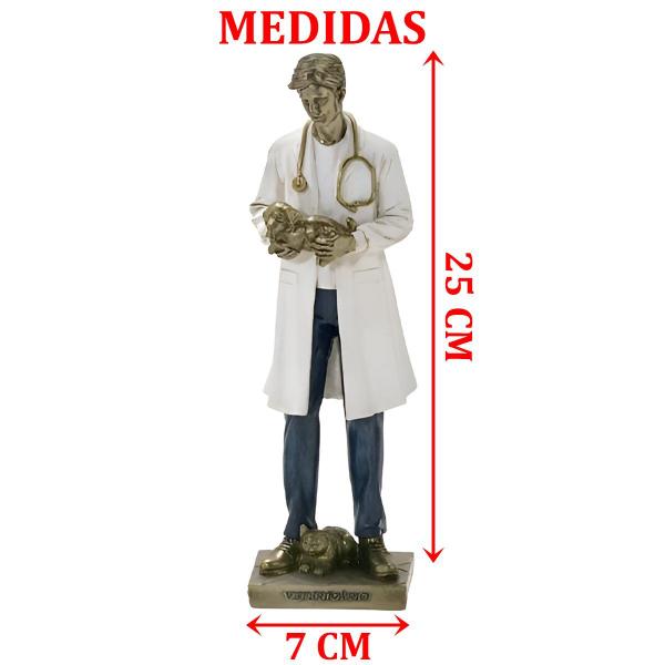 Imagem de Escultura Decorativa Médico Veterinário Cachorro Gato 25cm