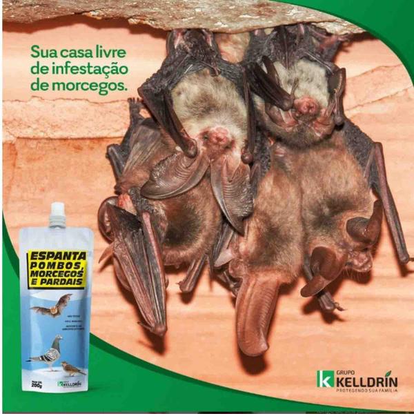 Imagem de Espanta Pombo Morcego Pardal Gel Para Superfícies Bisnaga 200g Kelldrin