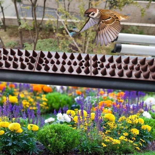 Imagem de Espícula Inibidora Antipombos Espanta Gatos De Muro 50 Peças