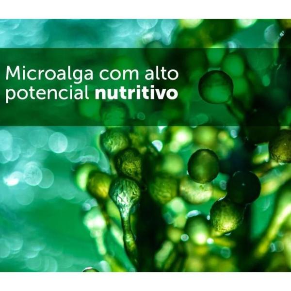 Imagem de Espirulina - 60 Cápsulas