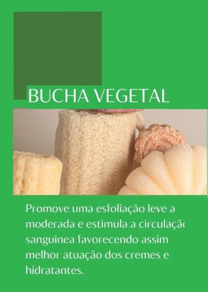 Imagem de Esponja Bucha Vegetal Natural Limpeza Profunda Esfoliaçao slim