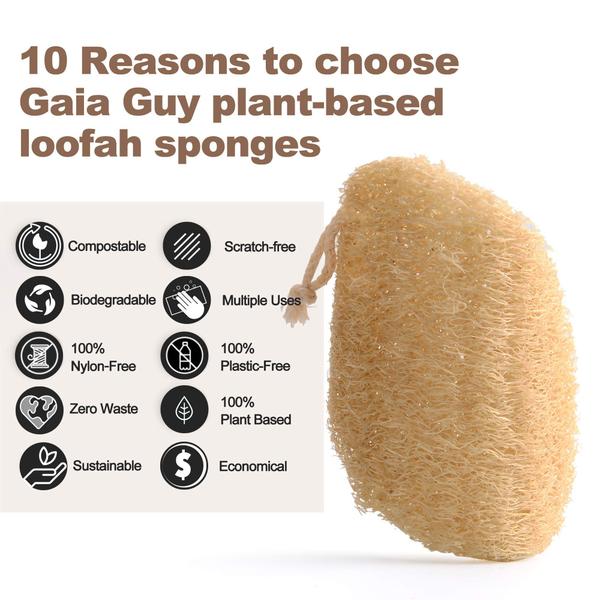 Imagem de Esponja de prato Gaia Guy Natural Loofah, pacote com 10 unidades