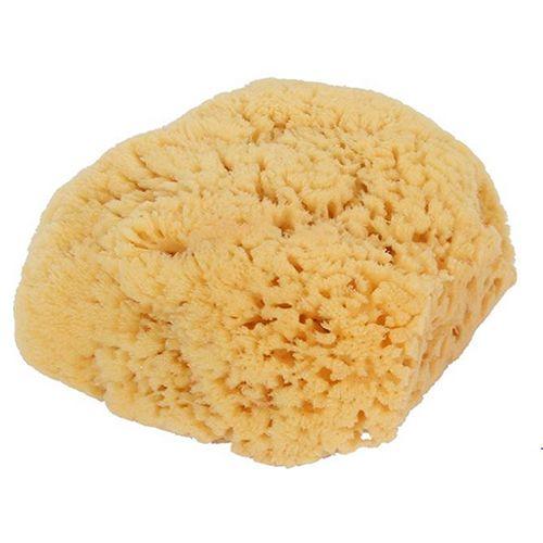 Imagem de Esponja Natural Sea Sponge Banho Chuveiro Grande 1 Contagem da Bass Brushes (pacote com 6)