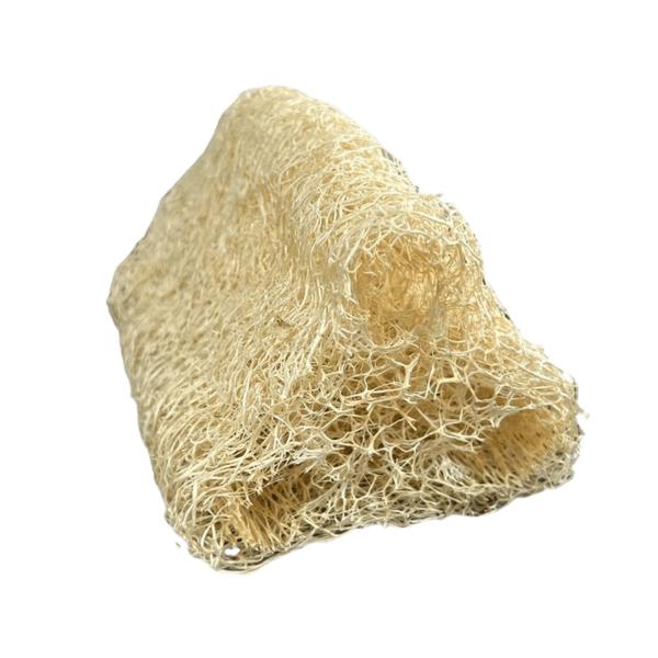 Esponja Vegetal Pedaço - Dica de Madame Imagem de Esponja Vegetal Pedaço