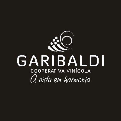 Imagem de Espumante Brut  Prosecco Rosé Garibaldi Serra Garrafa 750 ml