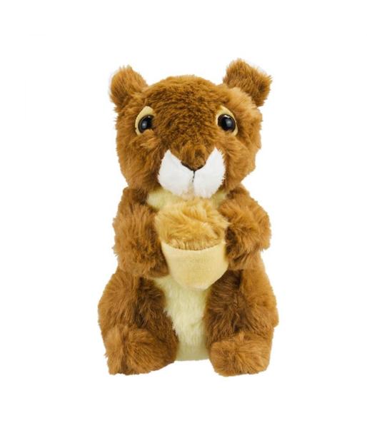 Esquilo Marrom Noz Fofo 18Cm - Pelúcia - Foffy Imagem de Esquilo Marrom Noz Fofo 18Cm - Pelúcia
