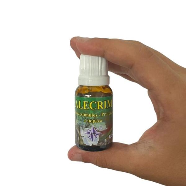 Imagem de Essência Líquida Alecrim Para Aromatizador e Difusor 15 ml