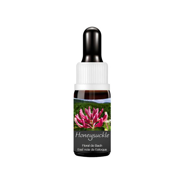 Imagem de Essencia Uniflowers Estoque De Bach Honeysuckle 10Ml