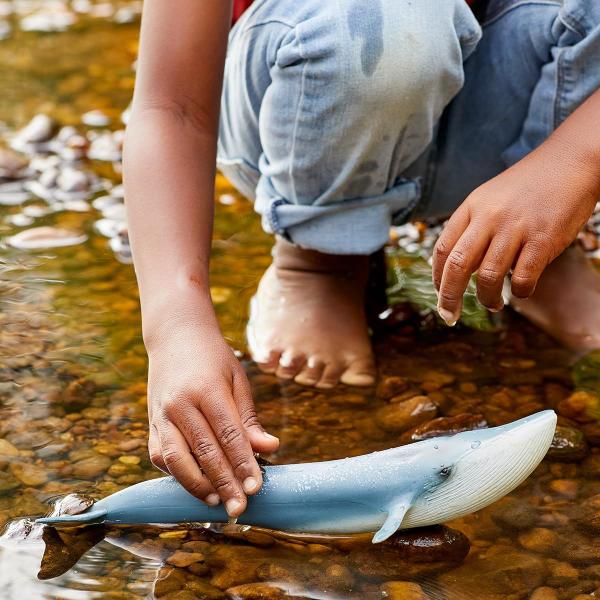 Imagem de Estatueta de Baleia Azul Schleich Wild Life - Realista para Crianças (3+)