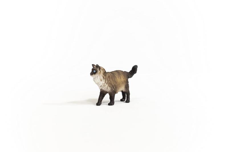 Imagem de Estatueta de brinquedo Schleich Farm World Ragdoll Cat Kids 3+ Anos