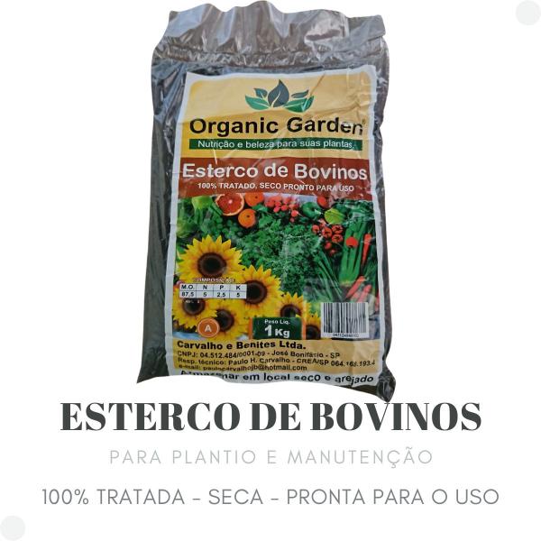 Imagem de Esterco de bovinos - para plantio e manutenção