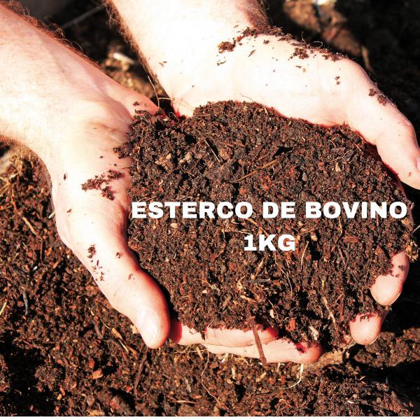 Imagem de Esterco de bovinos - para plantio e manutenção