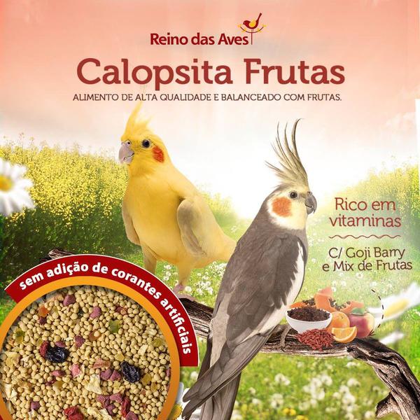 Imagem de Extra Gold Calopsita Frutas + Farinhada RA Parrots Reino das Aves