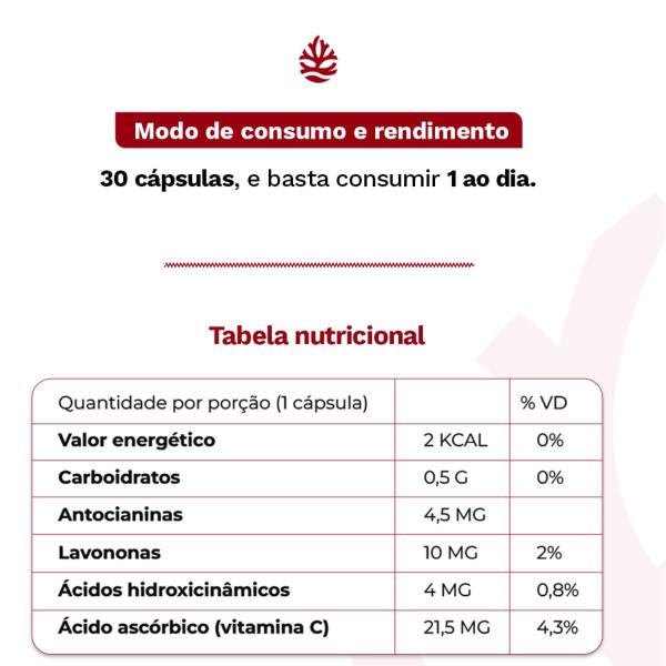 Imagem de Extrato de Laranja Moro 500mg 30 Capsulas Ocean Drop