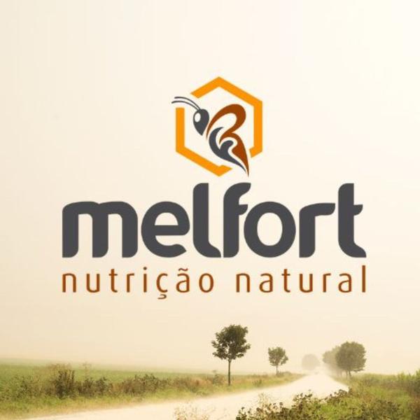 Imagem de Extrato de própolis Composto de mel Sabor Mel - Spray 24 Und