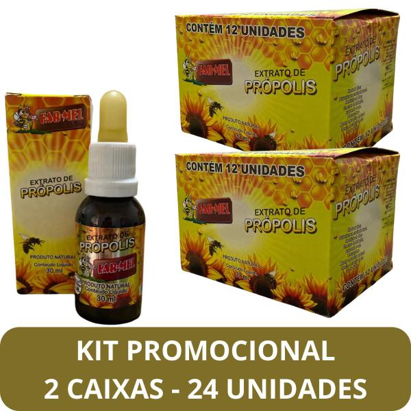 Imagem de Extrato de Própolis Farmel Gota 30ml - Kit Promocional 24 Unidades