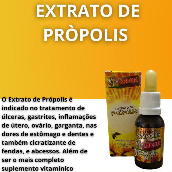 Imagem de Extrato de Própolis Farmel Gota 30ml - Kit Promocional 3 Unidades