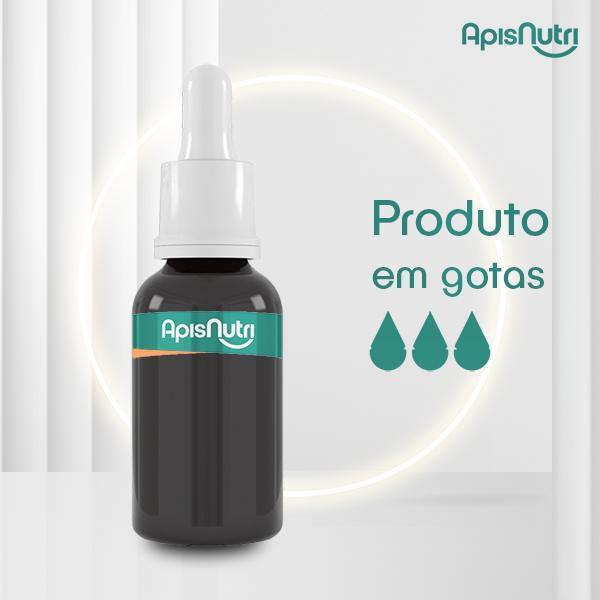 Imagem de Extrato de Própolis Marrom 22% 30ml ApisNutri