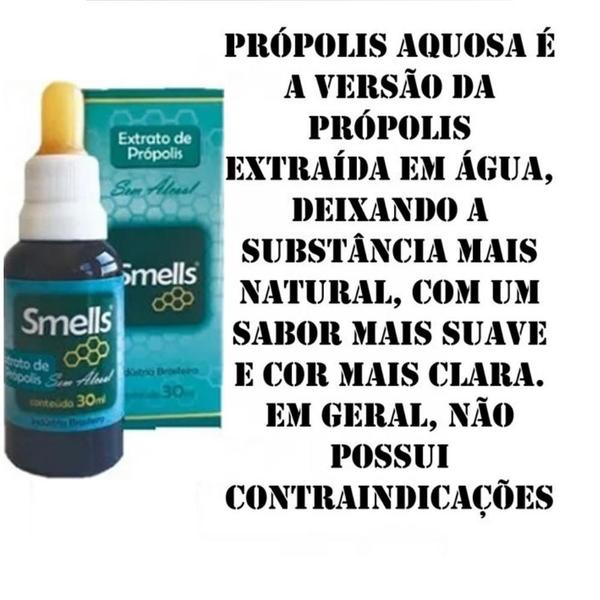 Imagem de Extrato de propolis sem alcool smells 30ml