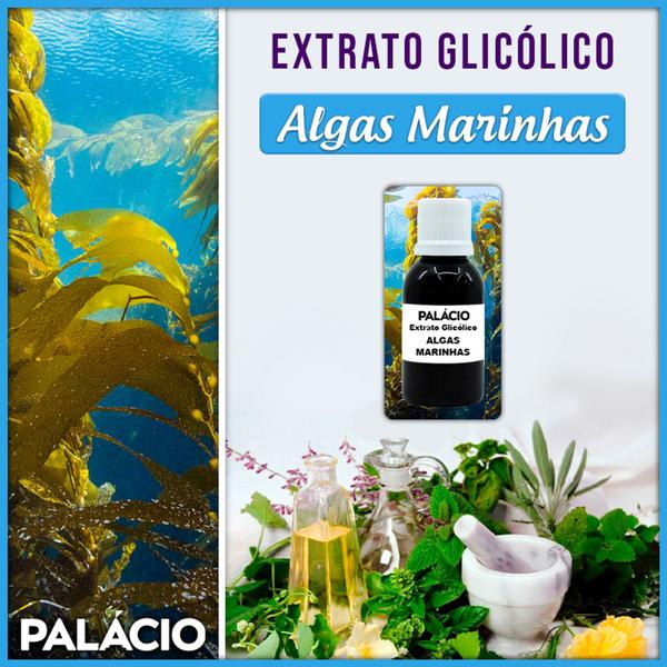 Imagem de Extrato Glicólico de Algas Marinhas - 100 ml