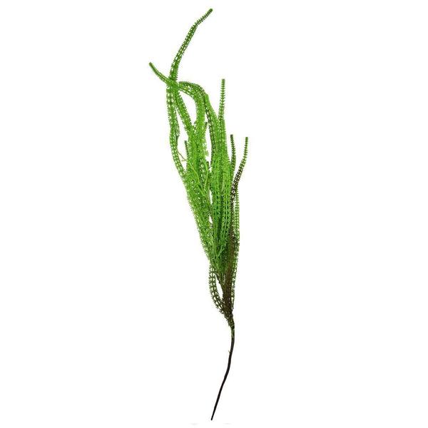 Imagem de F.grass Plt. C/print Pendurar (verde) 97,5cm (florarte)