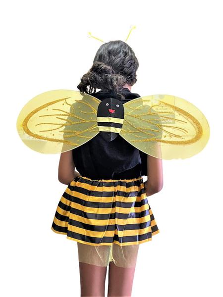 Imagem de Fantasia de abelhinha infantil