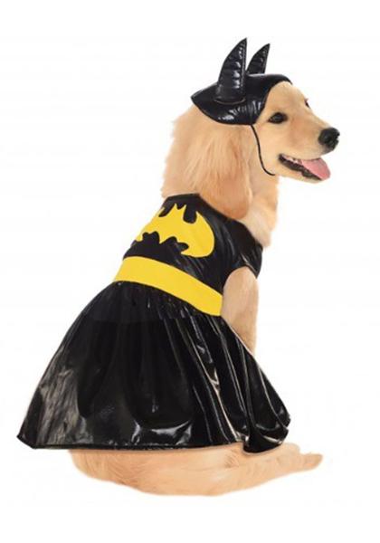 Imagem de Fantasia pet batman