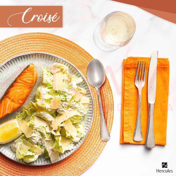 Faqueiro Hercules Inox Croisé 130 Peças Com Estojo Classico Imagem de Faqueiro Hercules Inox Croisé 130 Peças Com Estojo Classico