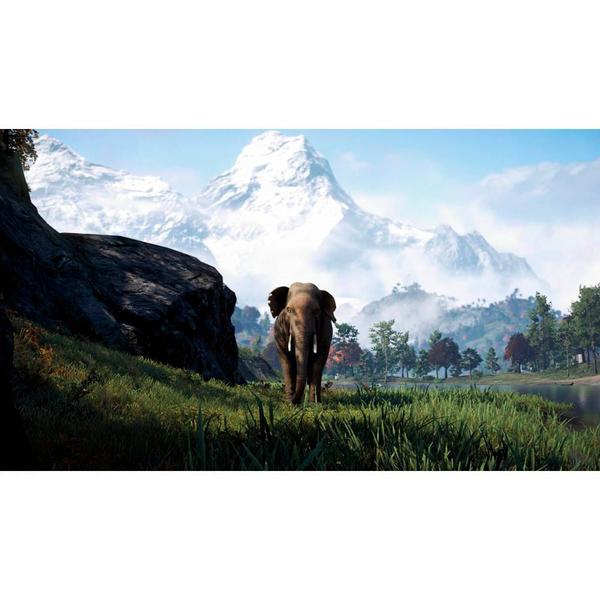 Imagem de Far Cry 4 - Playstation 4 - PS Hits