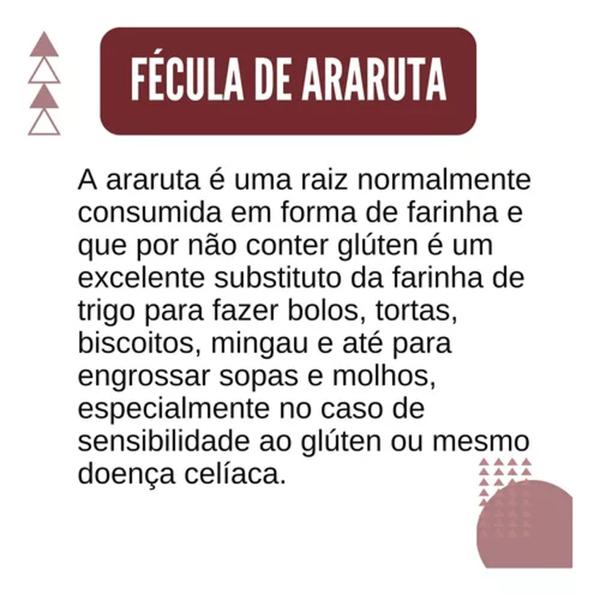 Farinha de Araruta HEMA 1kg (3 pacotes) - Brasil Celeiro Imagem de Farinha de Araruta HEMA 1kg (3 pacotes)