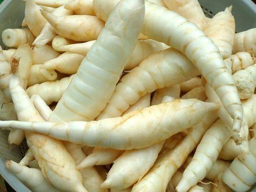 Farinha de Araruta HEMA 1kg (3 pacotes) - Brasil Celeiro Imagem de Farinha de Araruta HEMA 1kg (3 pacotes)