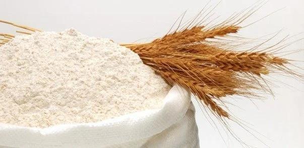 Farinha de Trigo Dona Benta Tipo 1 Pacote com 1kg Imagem de Farinha de Trigo Dona Benta Tipo 1 Pacote com 1kg