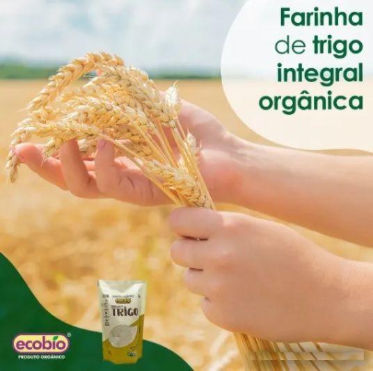 Imagem de Farinha De Trigo Integral Vegana Orgânica Não Transgênica Ecobio 400g