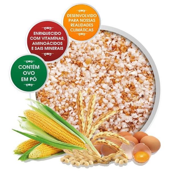 Farinhada CC 2030 Premium 1kg Biotron Neutra Sem Pigmento Canário Curió Pixarro Coleiro Calopsita Imagem de Farinhada CC 2030 Premium 1kg Biotron Neutra Sem Pigmento Canário Curió Pixarro Coleiro Calopsita