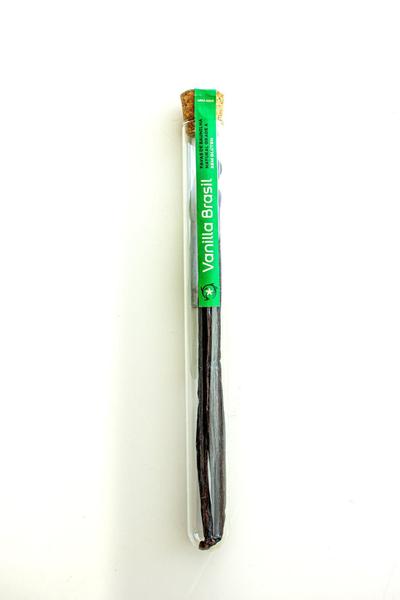 Fava De Baunilha - Vanilla Brasil. 4G Imagem de Fava De Baunilha - Vanilla Brasil. 4G