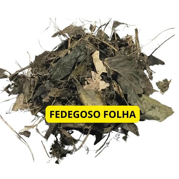 Fedegoso Folha 1Kg (Erva seca) - Top Life Imagem de Fedegoso Folha 1Kg (Erva seca)