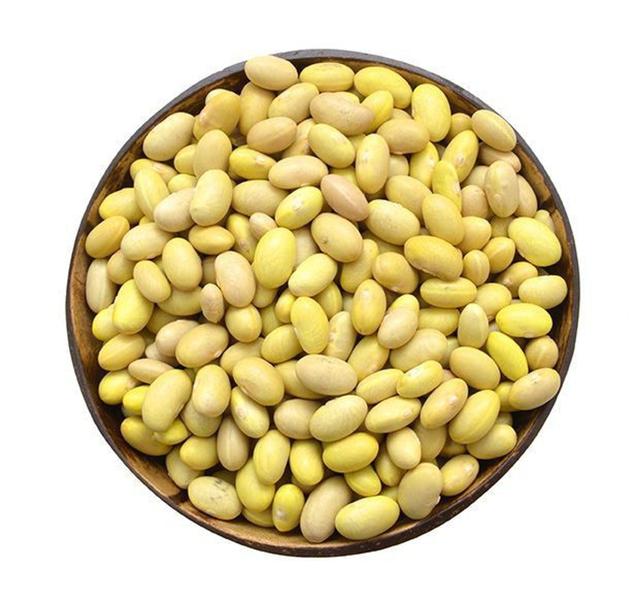 Feijão Bolinha 1kg Para Plantar ou Consumir + 10 outros tipos de sementes. Cortesia - Tatuapé Agro Sementes Imagem de Feijão Bolinha 1kg Para Plantar ou Consumir + 10 outros tipos de sementes. Cortesia