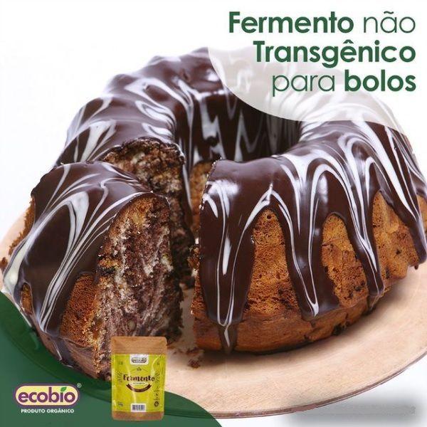 Imagem de Fermento Em Pó 400g Não Transgênico E Sem Glúten Ecobio 400g (fermento para torta, bolo e pães fit)