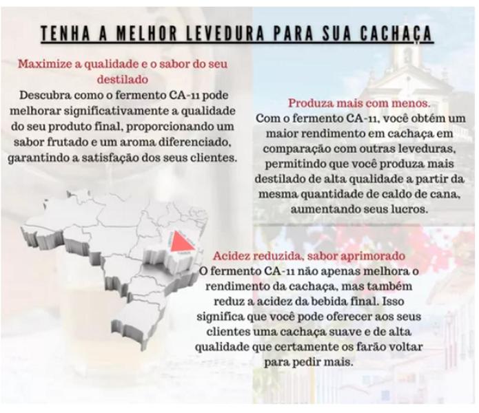 Imagem de Fermento Levedura Ca11 LNF-Cachaça e Destilados 500g